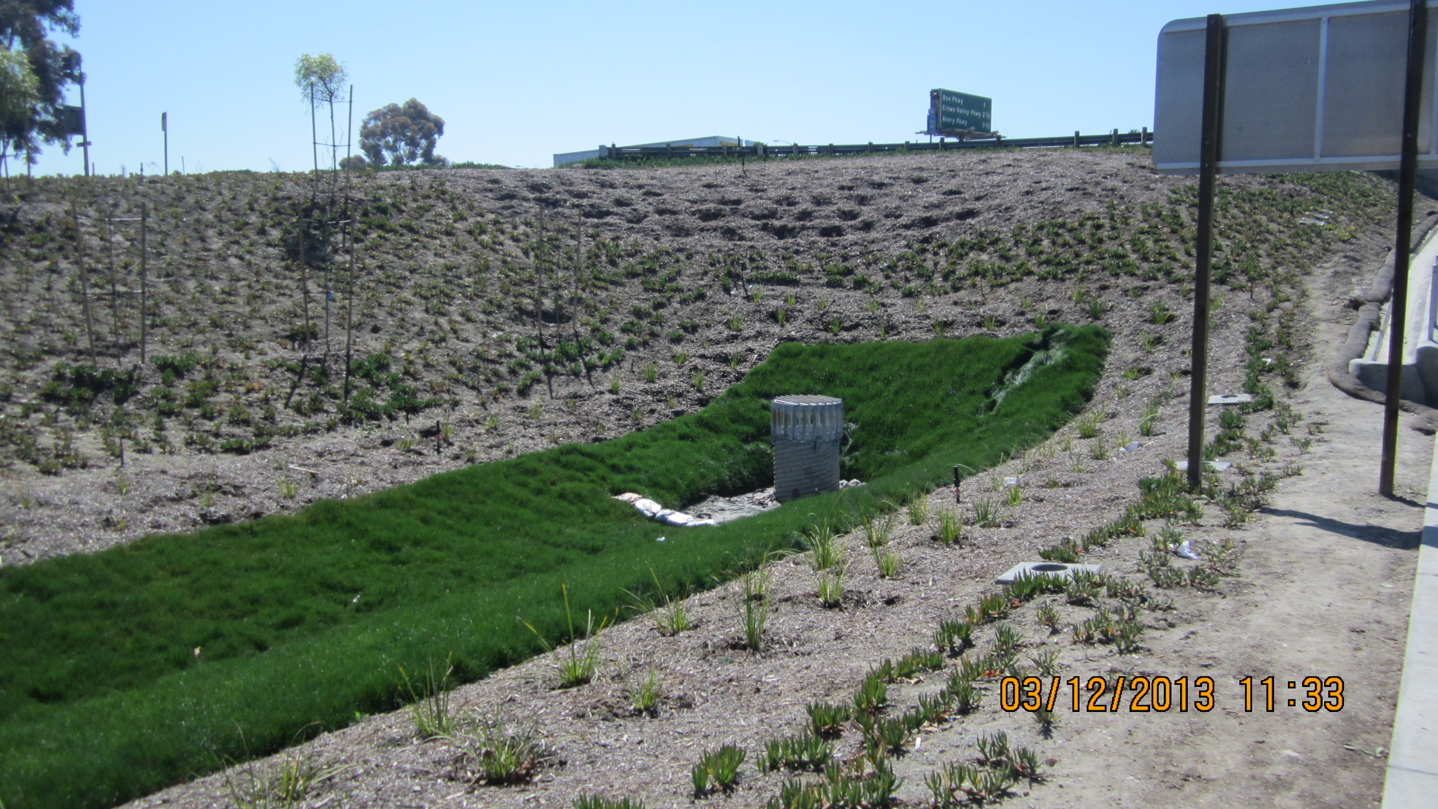 Bioswale and stormwater BMPs